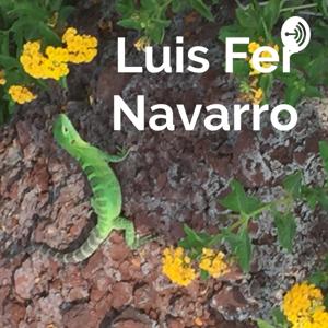 Luis Fer Navarro