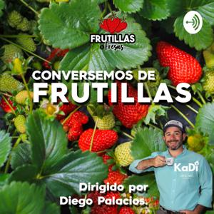 Frutillas o Fresas