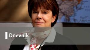 Dnevnik