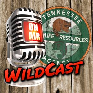 Tennessee Wildcast on Super Talk 99.7 WTN Podcast