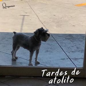 Tardes de atolito