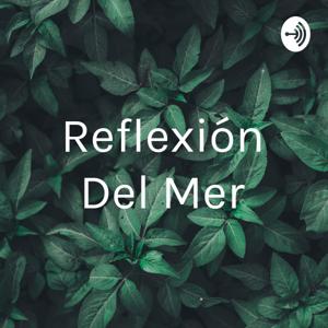 Reflexión Del Mer