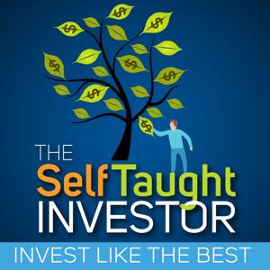 The Self Taught Investor