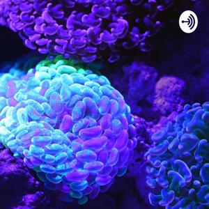 EPILEPSIA: CONÓCELA Y ACTÚA