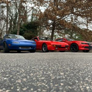 Wifeless Whips