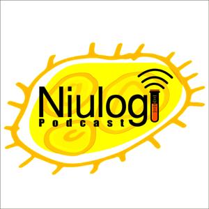 Niulogi