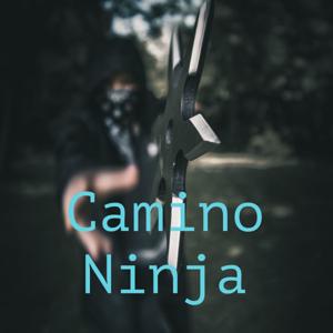 Camino Ninja