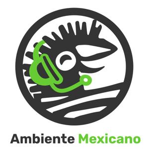 Ambiente Mexicano http://www.regalos-artesanales.com.mx