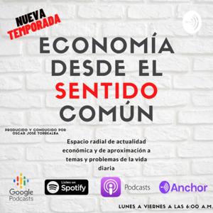 Economía desde el sentido común