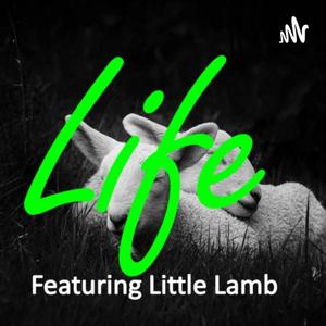 Little Lamb