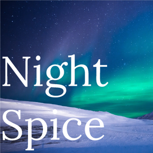 The Night Spice Book Review