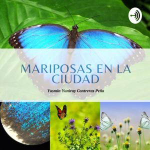 Mariposas de la Ciudad