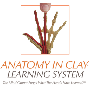 Anatomy in Clay® Learning System Podcast