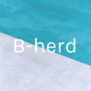 B-herd