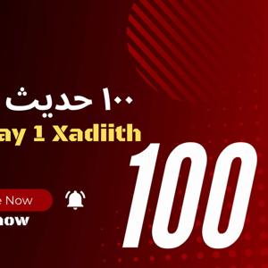 Saajid Show's Podcast