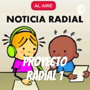 PROYECTO RADIAL 1