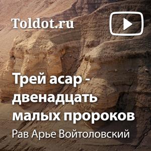 Рав Арье Войтоловский  — Книга Пророка Ошеа — одного из двенадцати «малых пророков».