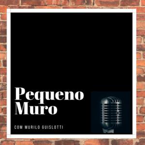 PEQUENO MURO