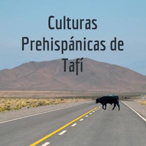 Culturas Prehispánicas de Tafí