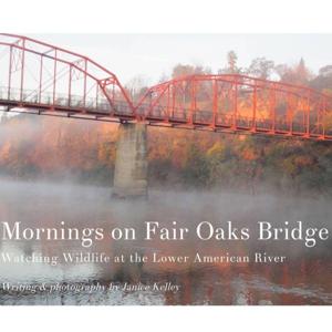 Mornings on Fair Oaks Bridge