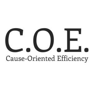 Cause-Oriented Efficiency