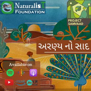 અરણ્ય નો સાદ Aranya no saad