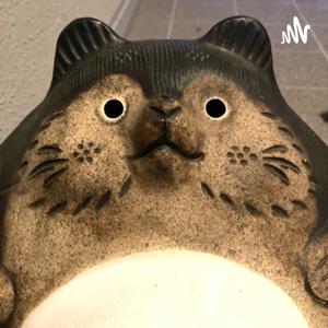 aoiのタヌラジオ！