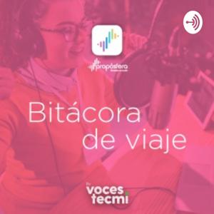 Bitácora de Viaje