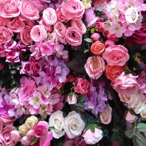 K Voice by golden girl komal