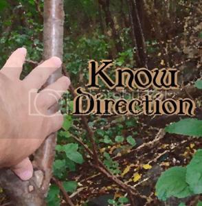 Know Direction Network
