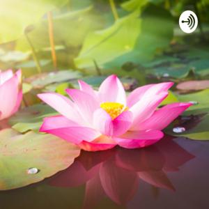 ธรรมะใจใสใจสบาย