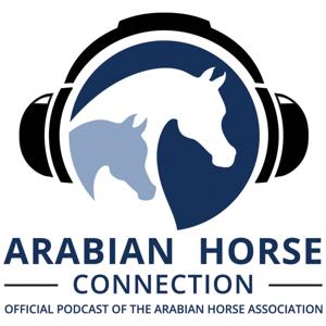 The Arabian Horse Connection