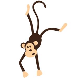 Monkeys Sometimes Fall Out Of Trees
