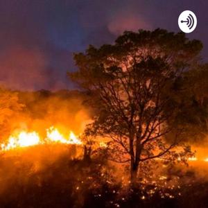 Trabalho Compartilhado Segmento 06 - Qual é a sua playlist?