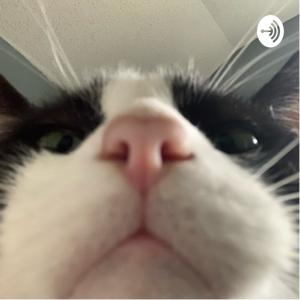 GRRRR (but a Podcast)