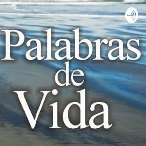 31 de Julio 2020