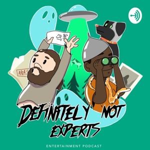 Definitely Not Experts
