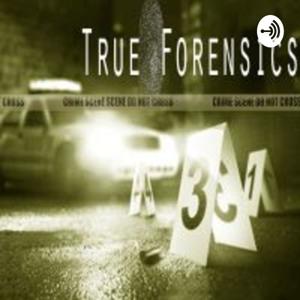 True Forensics by Amanda Andreone