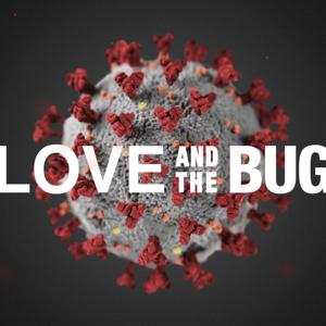 Love and the Bug