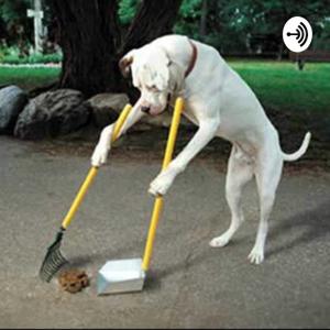 This is not done professionally