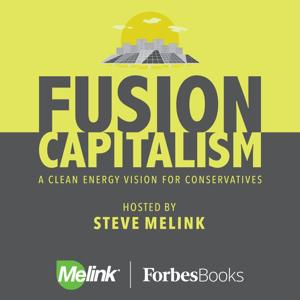 Fusion Capitalism