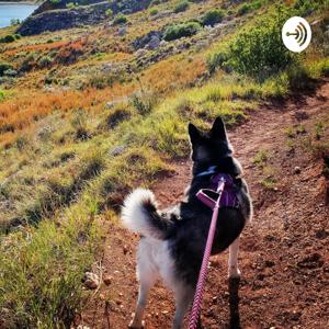 Hiking With My Husky