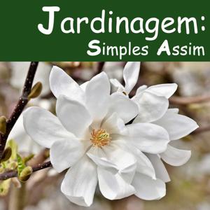 Jardinagem Simples Assim