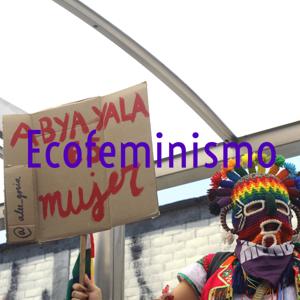 Ecofeminismos