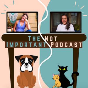 The Not Important Podcast