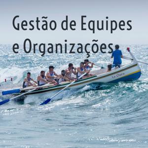 Gestão de Equipes e Organizações