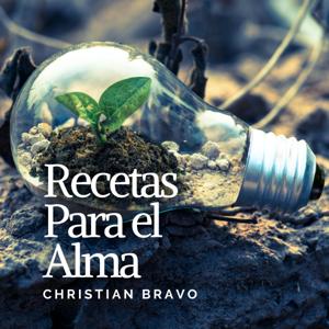 Recetas para el Alma by Christian Bravo