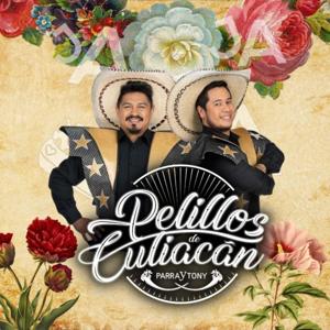 Con Pelillos en la lengua - Pelillos de Culiacan