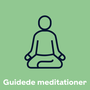 Guidede meditationer