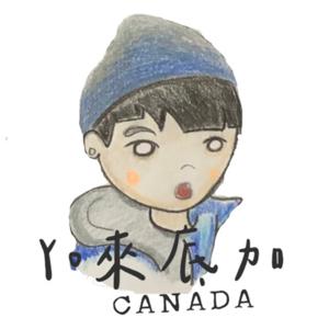 Yo來底加